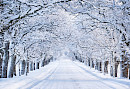 Motorrad Einwintern